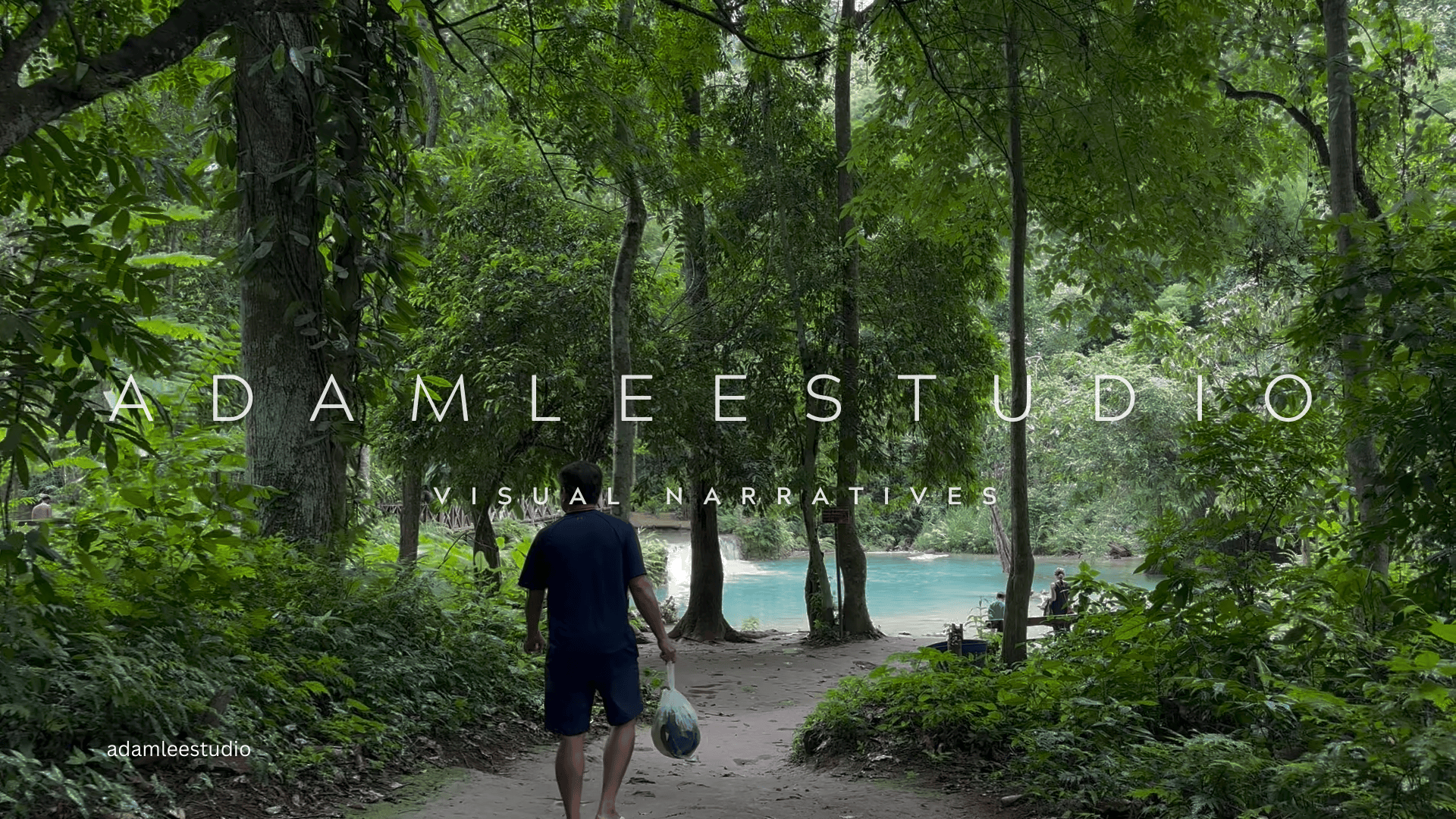 Visual Narratives Intro